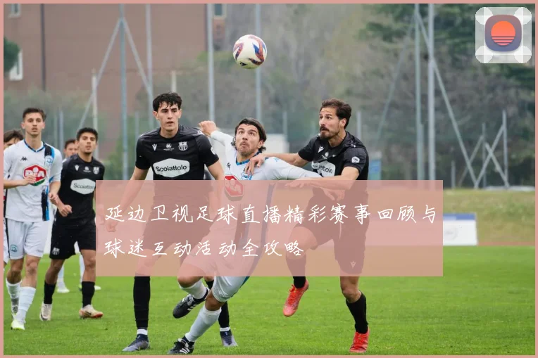 延边卫视足球直播精彩赛事回顾与球迷互动活动全攻略