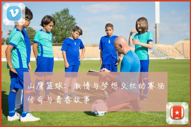 山鹰篮球：激情与梦想交织的赛场传奇与青春故事