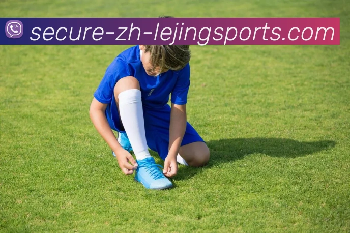 乐竞体育中国平台生态图